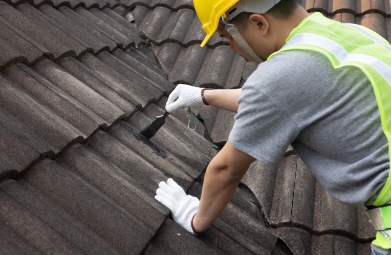 Asphalt Roof Leak Repair